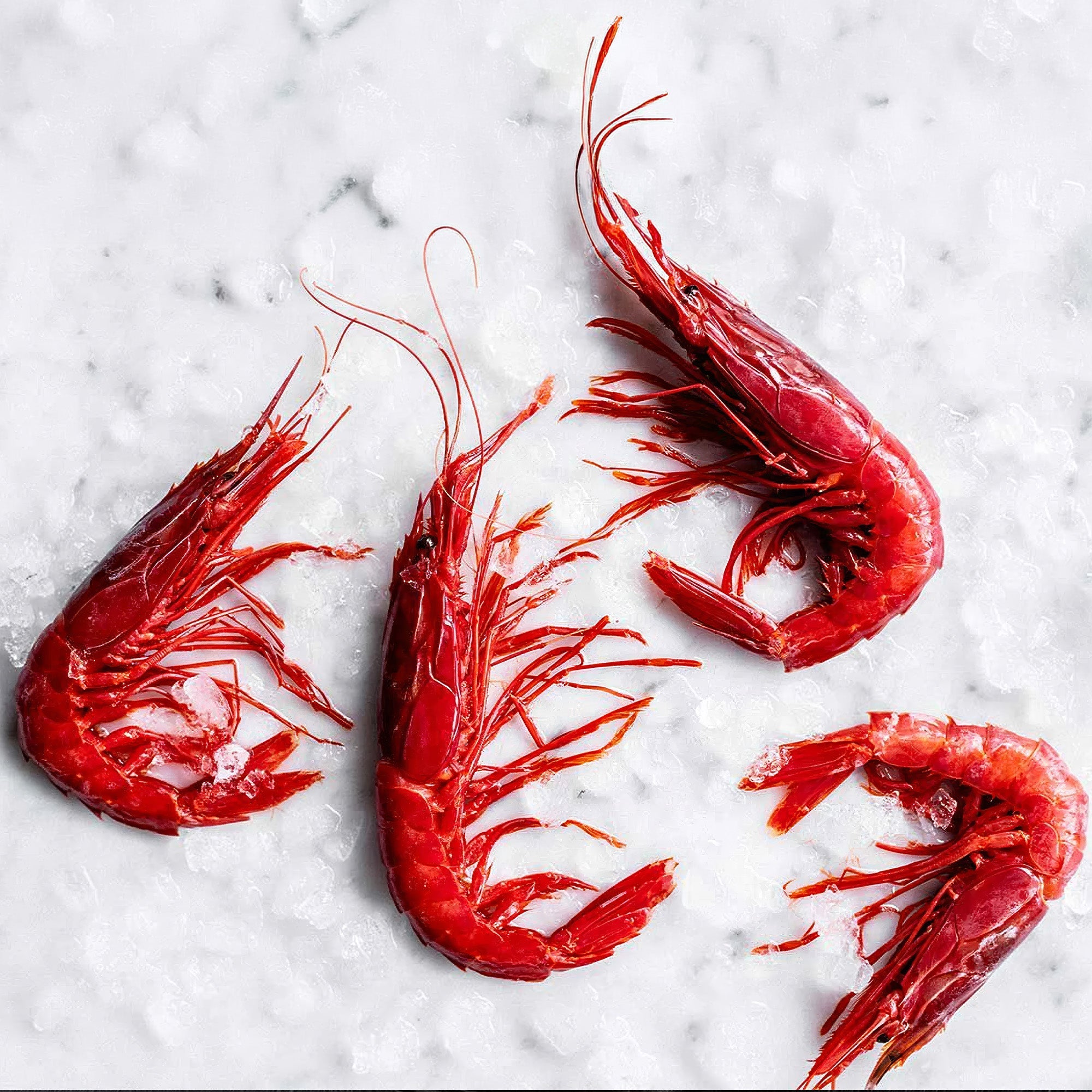 Premium Seafood