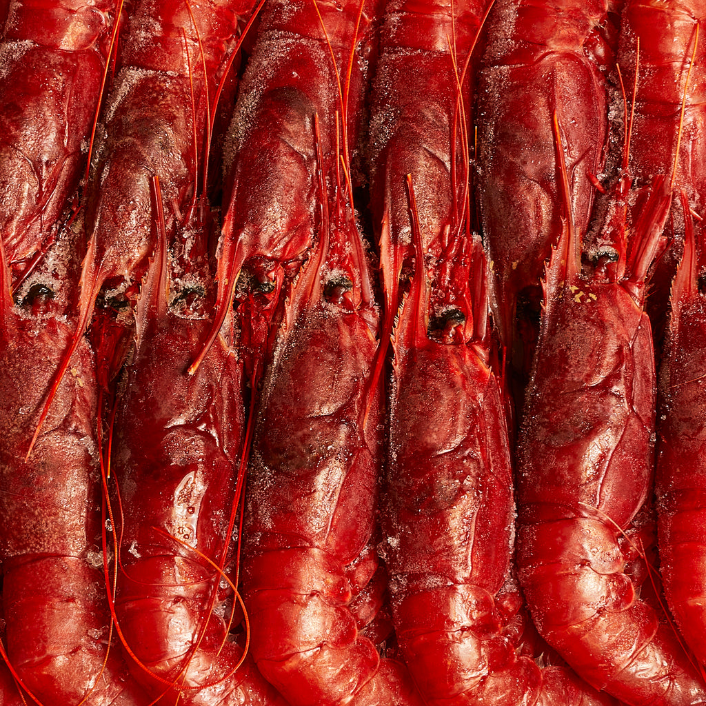 Mazara del vallo Red Prawns
