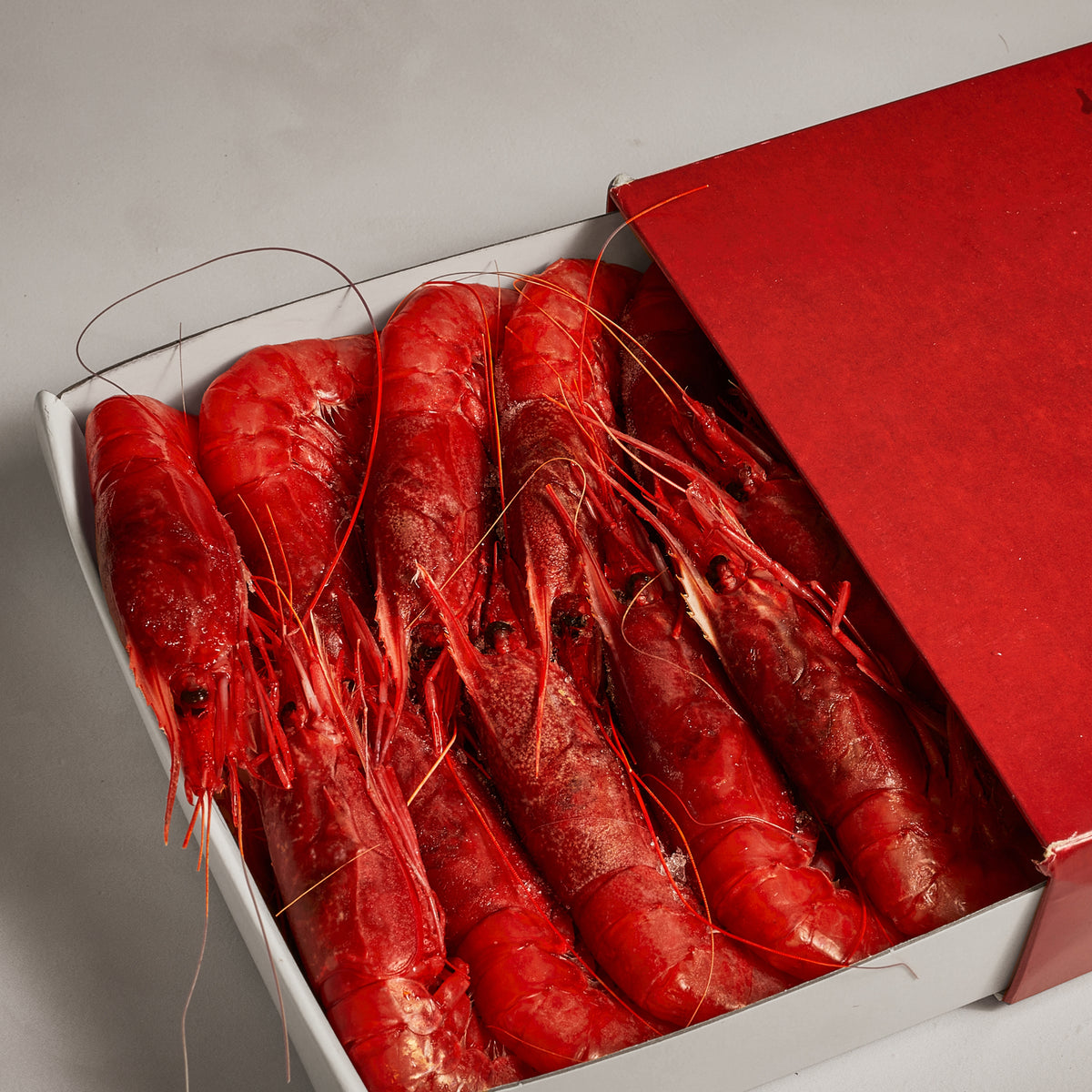 Mazara del vallo Red Prawns