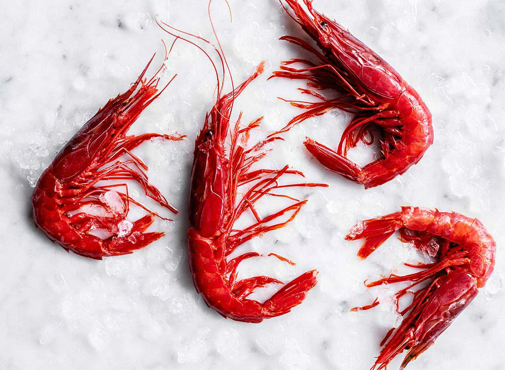 Mazara del vallo Red Prawns