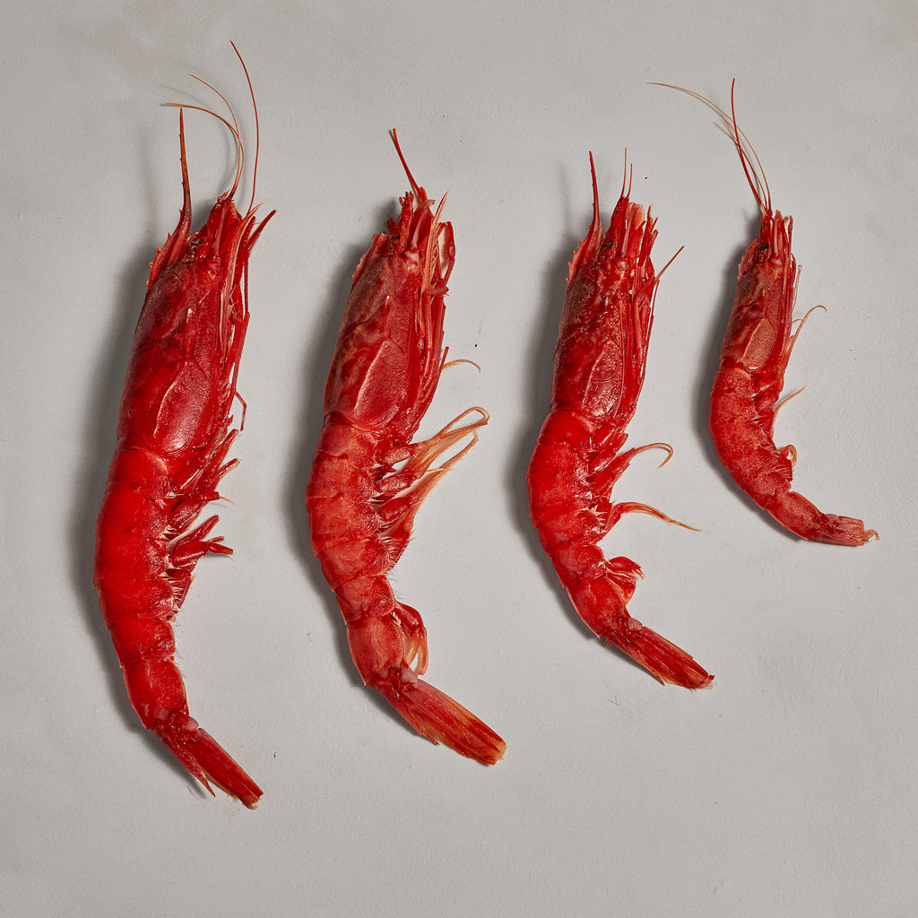 Mazara del vallo Red Prawns