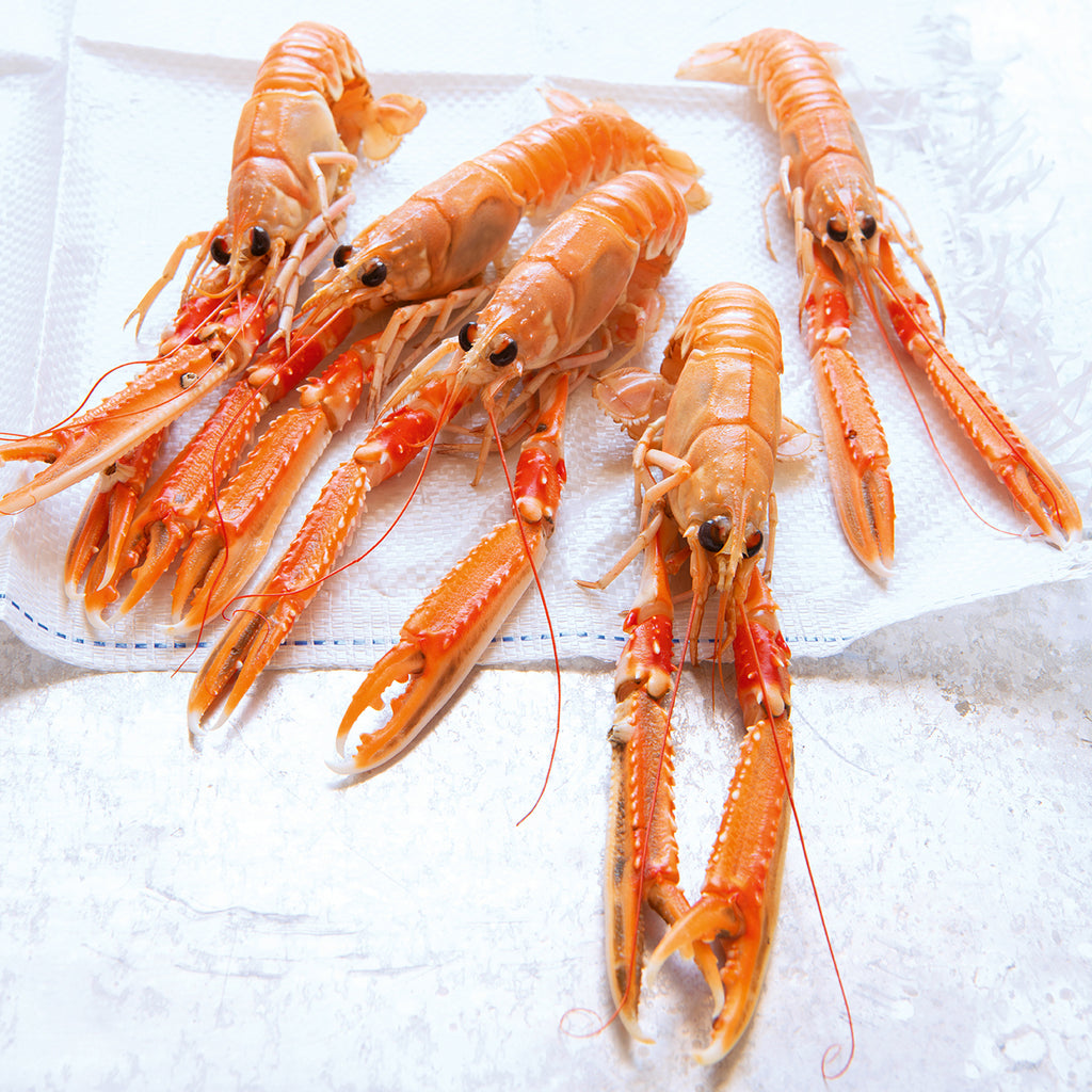Mediterranean Langoustines
